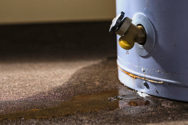 Best Basement water damage restoration  in Mount Pleasant, TN
