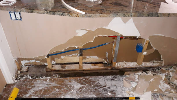 Best Water damage contractors near me  in Mount Pleasant, TN