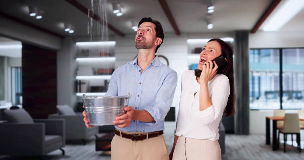 Best Fire Damage Restoration  in Mount Pleasant, TN